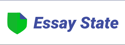 EssayState.com